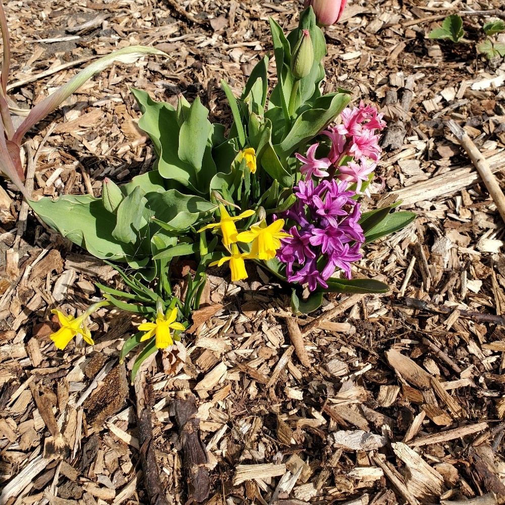 Meet your Posher, Rachel